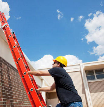 Roof Cleaning Services