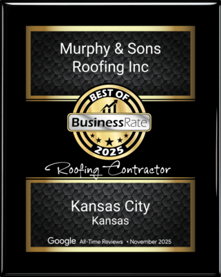 FREE INSPECTIONS